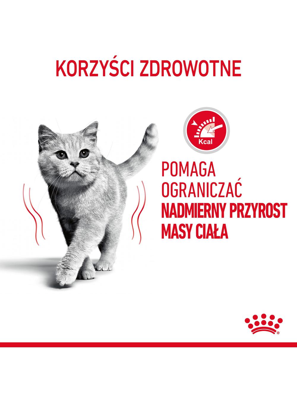 ROYAL CANIN Light  Weight Care12x85g karma mokra w sosie dla kotów dorosłych z tendencją do nadwagi + NIESPODZIANKA DLA KOTA GRATIS!!