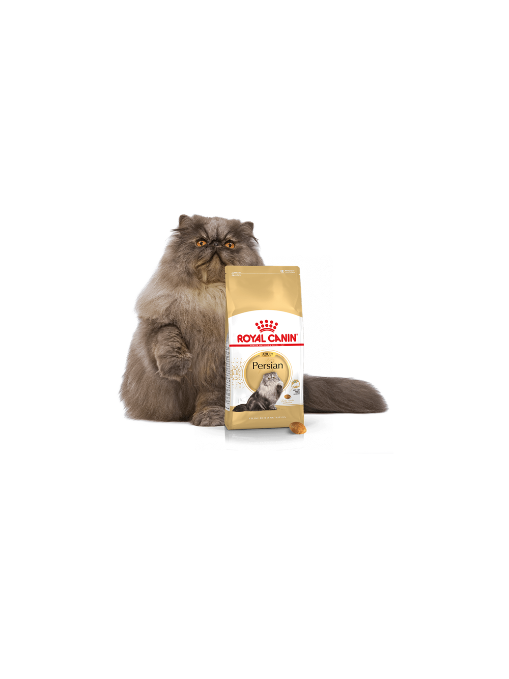 ROYAL CANIN Persian Adult 10kg karma sucha dla kotów dorosłych rasy perskiej + niespodzianka dla kota GRATIS!