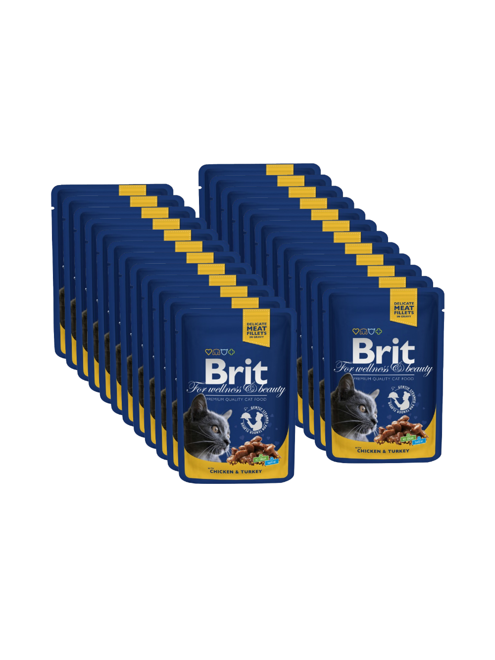 BRIT Cat KURCZAK i INDYK 24x100g
