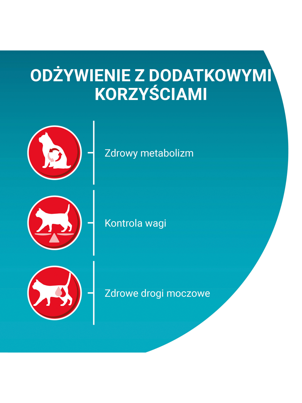 Purina One Cat Sterilcat Karma z wołowiną dla kota 1,5kg