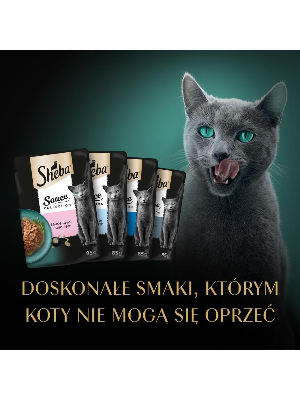 SHEBA Sauce Collection Rybne Smaki saszetki 40x85 g – mokra karma pełnoporcjowa dla dorosłych kotów, w sosie
