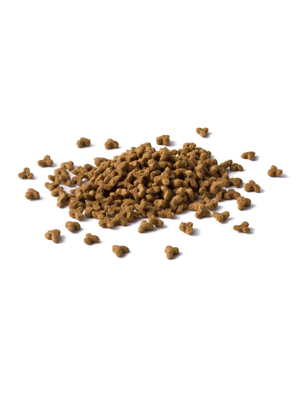 PURINA Cat Chow Kitten Karma bogata w kurczaka 15kg