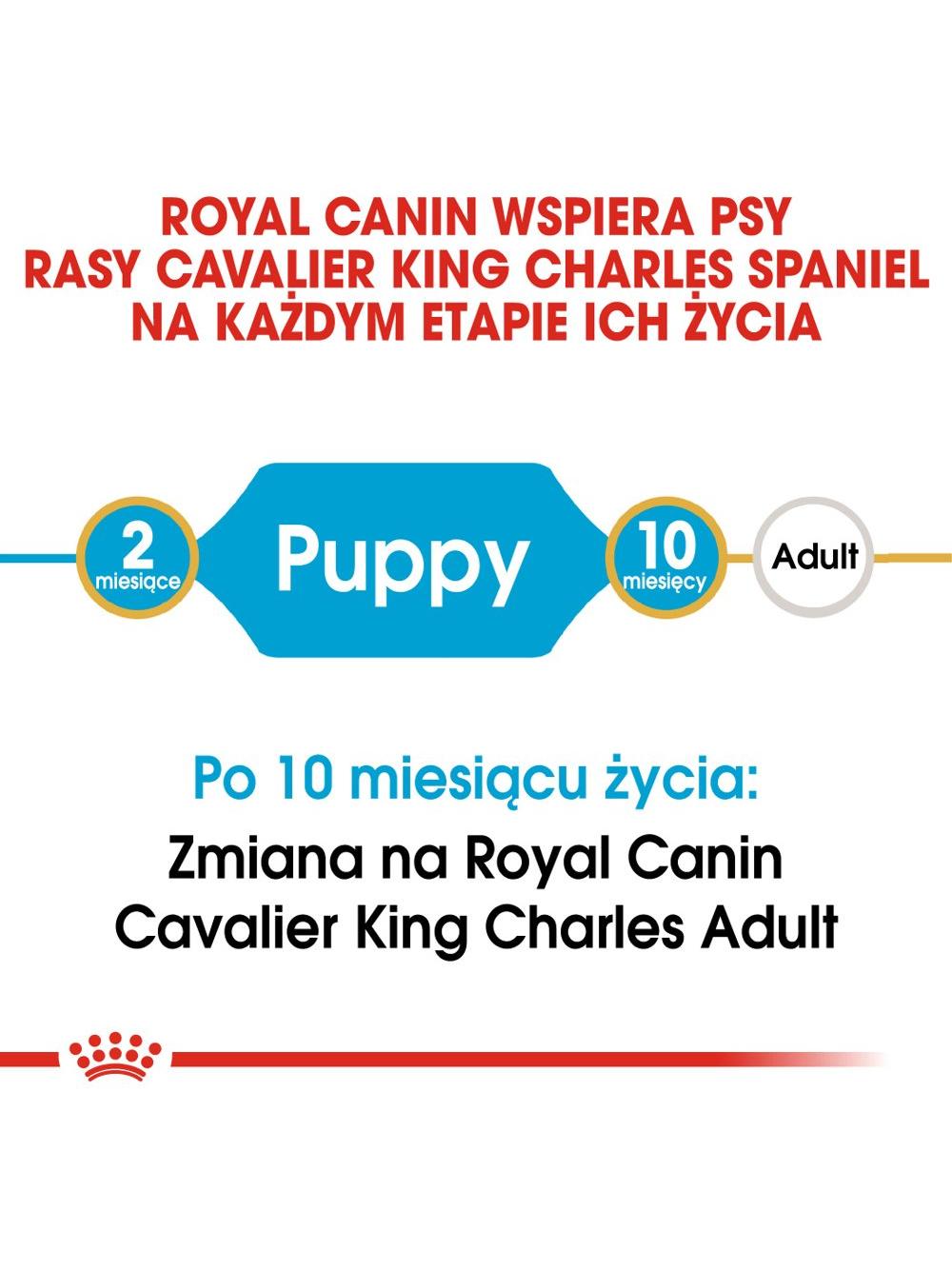 ROYAL CANIN Cavalier King Charles Spaniel Puppy 1,5kg karma sucha dla szczeniąt do 10 miesiąca, rasy cavalier king charles spaniel