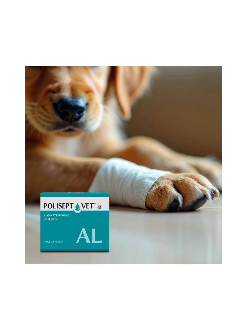 POLISEPT VET® AL – opatrunek na rany dla psa i kota 3 szt.