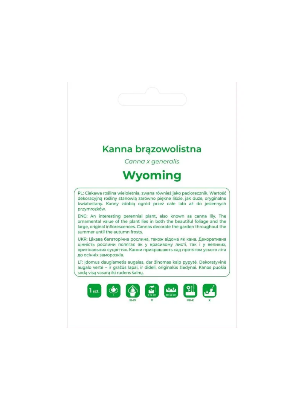 Kanna Wyoming pomarańczowa 1szt.