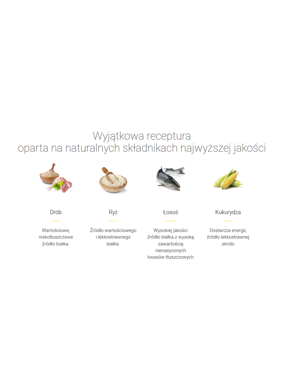 JOSERA Culinesse 400g + niespodzianka dla kota GRATIS!