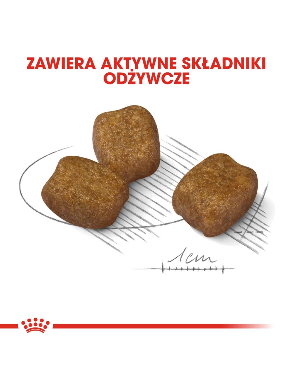 ROYAL CANIN CCN Mini Dental Care 8kg karma sucha dla psów dorosłych, ras małych, redukująca powstawanie kamienia nazębnego