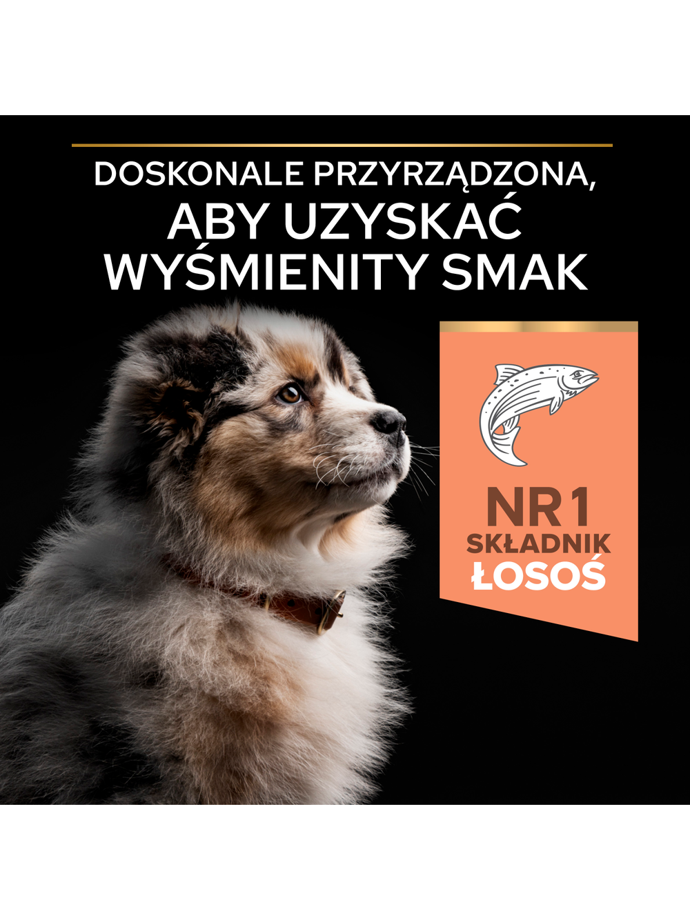 PRO PLAN Sensitive Skin Puppy Karma dla szczeniąt bogata w łososia 12kg
