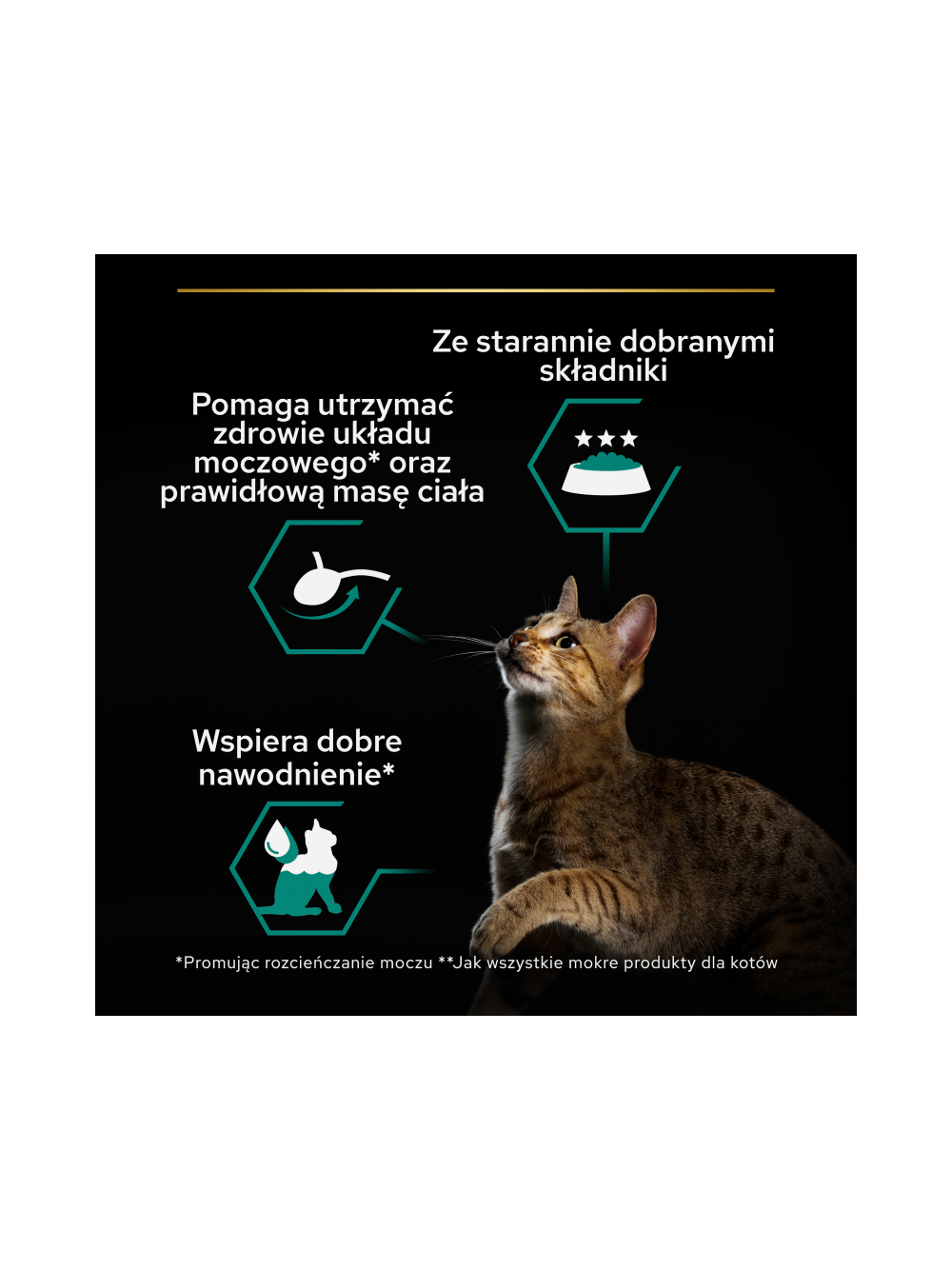 PRO PLAN Sterilised Wilgotny pasztet z łososiem i tuńczykiem Mokra karma dla kota 24x85g