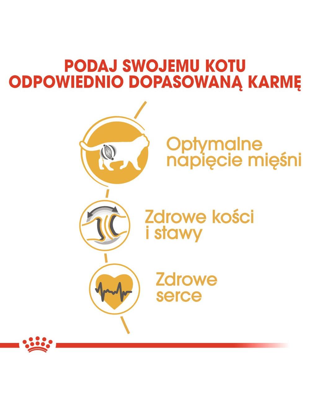 ROYAL CANIN British Shorthair 10kg karma sucha dla kotów dorosłych rasy brytyjski krótkowłosy + Piłka dla kota GRATIS!