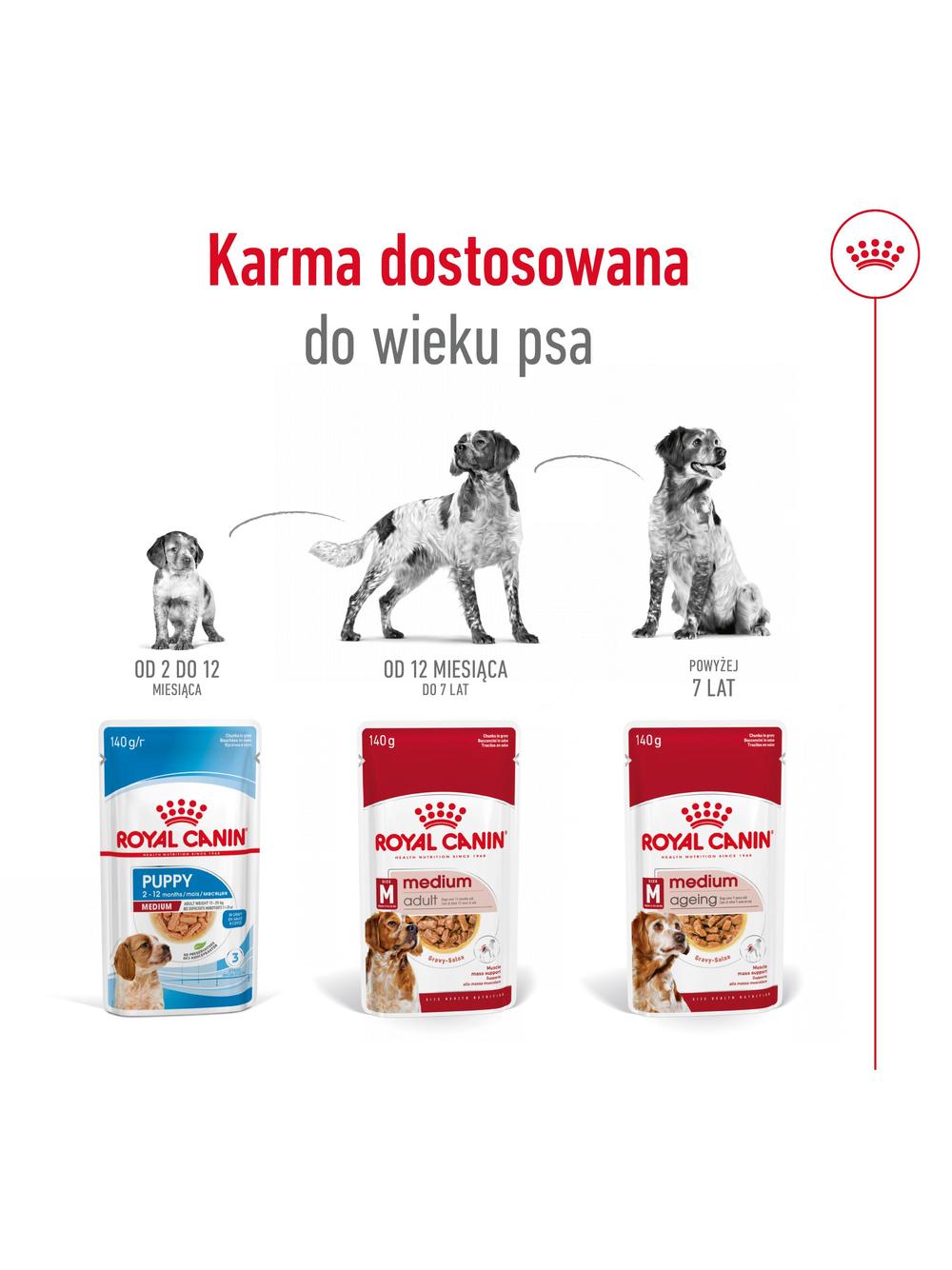 ROYAL CANIN Medium Adult 10x140g karma mokra w sosie dla psów dorosłych ras średnich