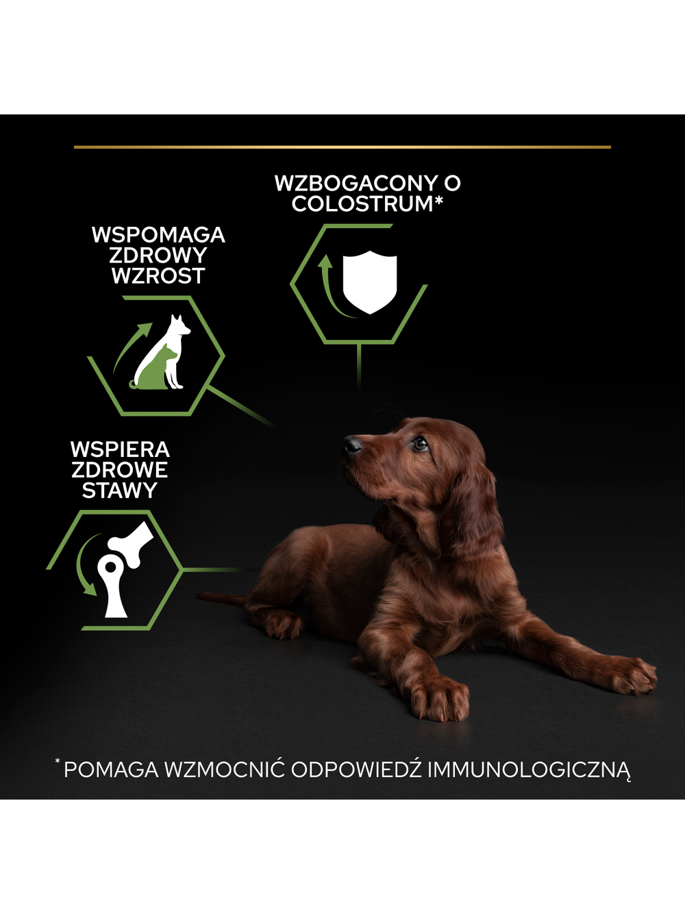 Purina Pro Plan Large Puppy Athletic Optistart, kurczak i ryż 12kg / Opakowanie uszkodzone (3664,3665,5167,5575,7021,8739) !!!