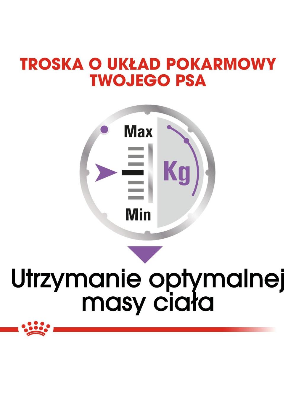 ROYAL CANIN CCN Sterilised 12x85g karma mokra - pasztet dla psów dorosłych, sterylizowanych
