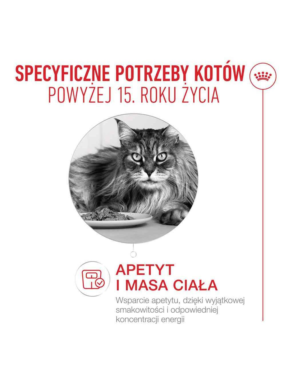 ROYAL CANIN mokra karma dla kotów, Senior Ageing 15+,can 85 g