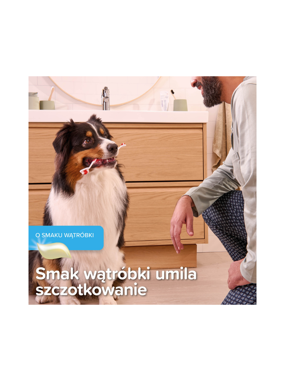 BEAPHAR-PASTA DO ZĘBÓW 100G - pasta do zębów o smaku wątróbki dla psów i kotów