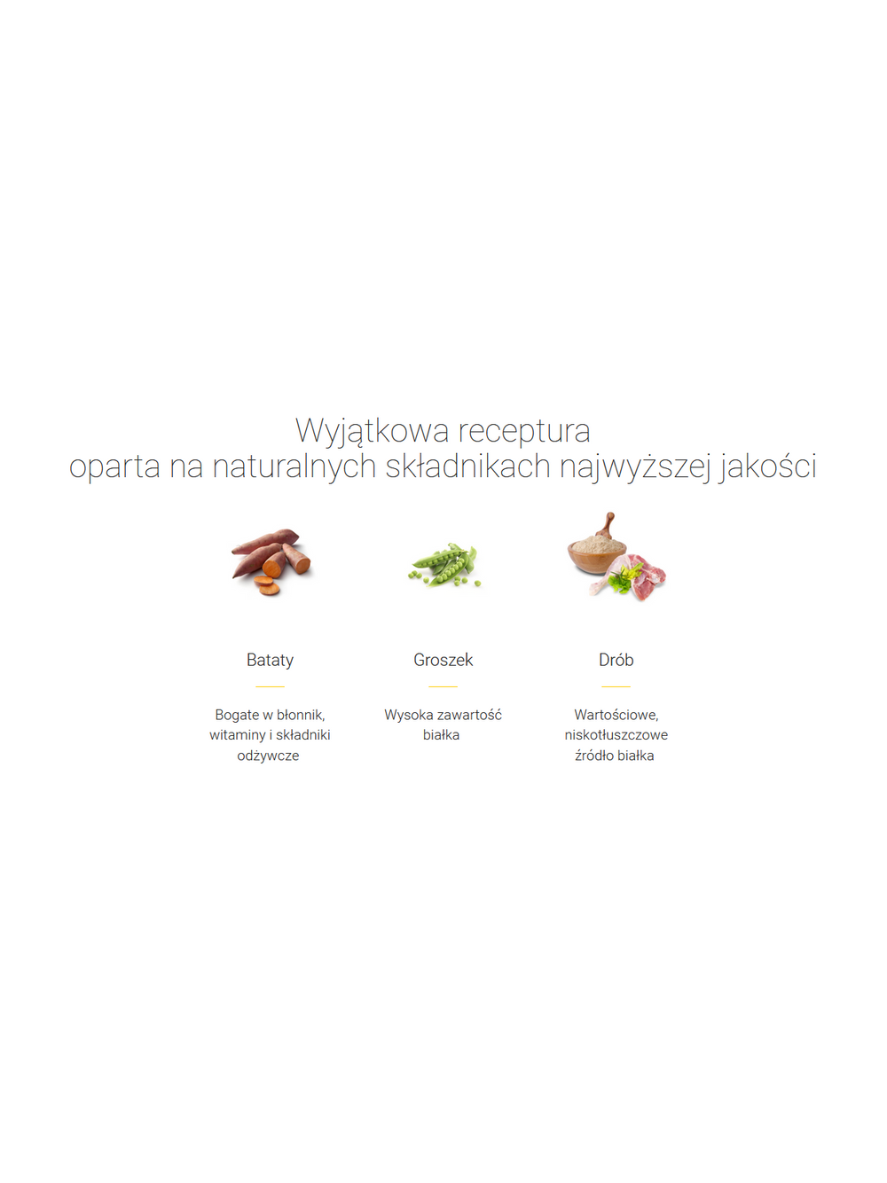 JOSERA Indoor 2kg + NIESPODZIANKA DLA KOTA GRATIS!