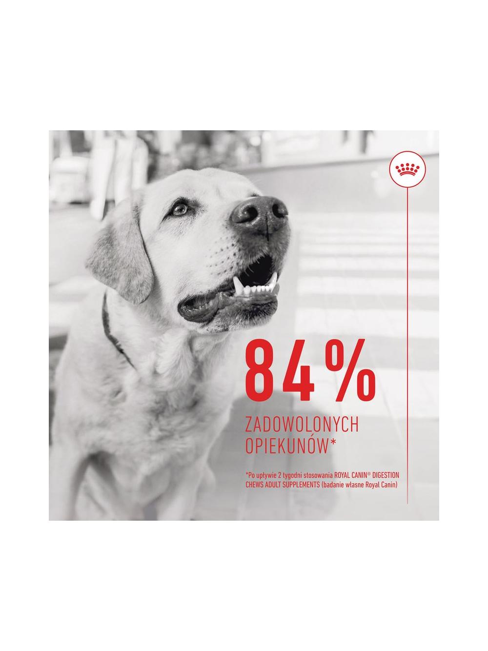 Royal Canin Digestion Adult Chews 160g