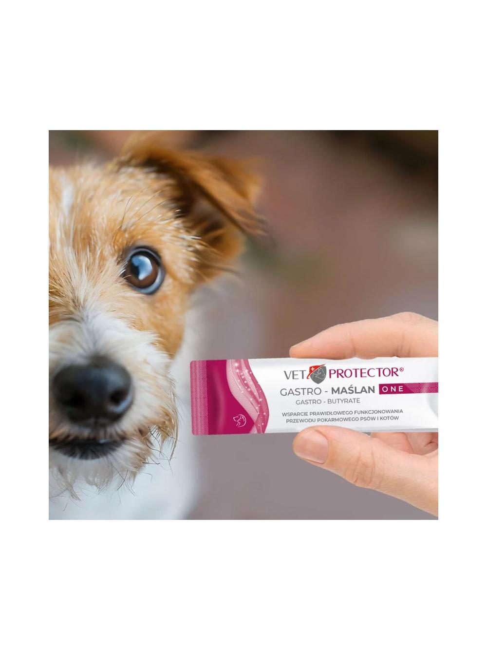 VET PROTECTOR® GASTRO – MAŚLAN ONE – preparat wspierający funkcjonowanie przewodu pokarmowego dla psa i kota 3 ml