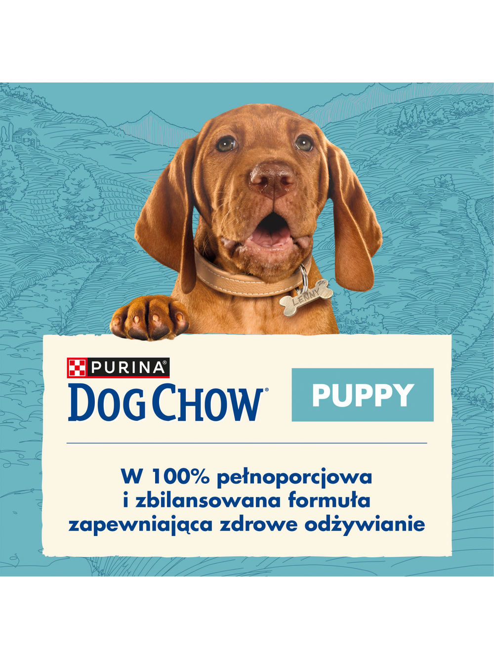 PURINA Dog Chow Puppy Lamb 14kg