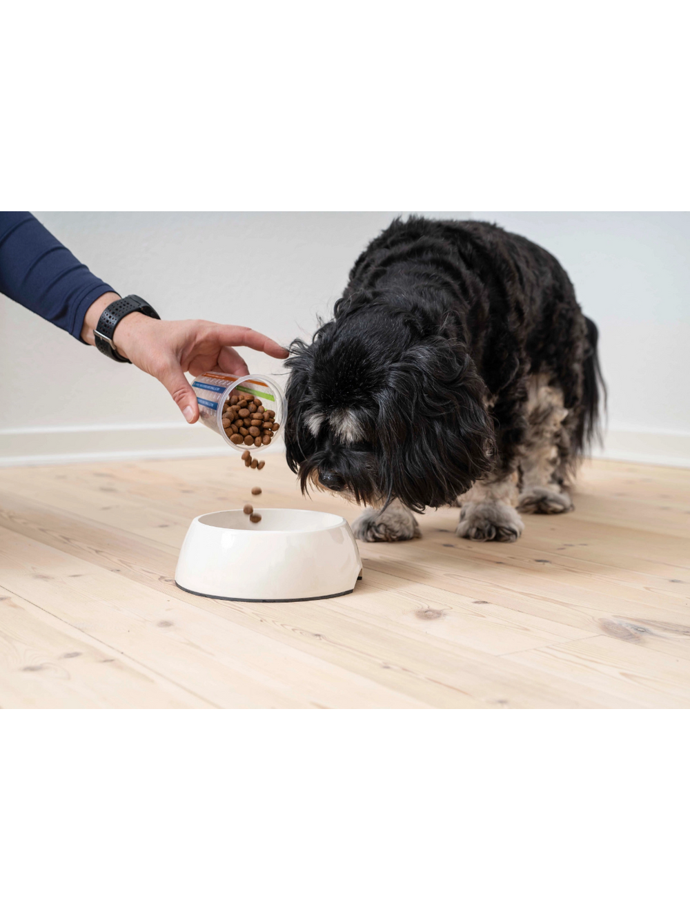 VIRBAC Adult Small & Toy Dog 7kg karma sucha dla psów dorosłych niekastrowanych ras małych