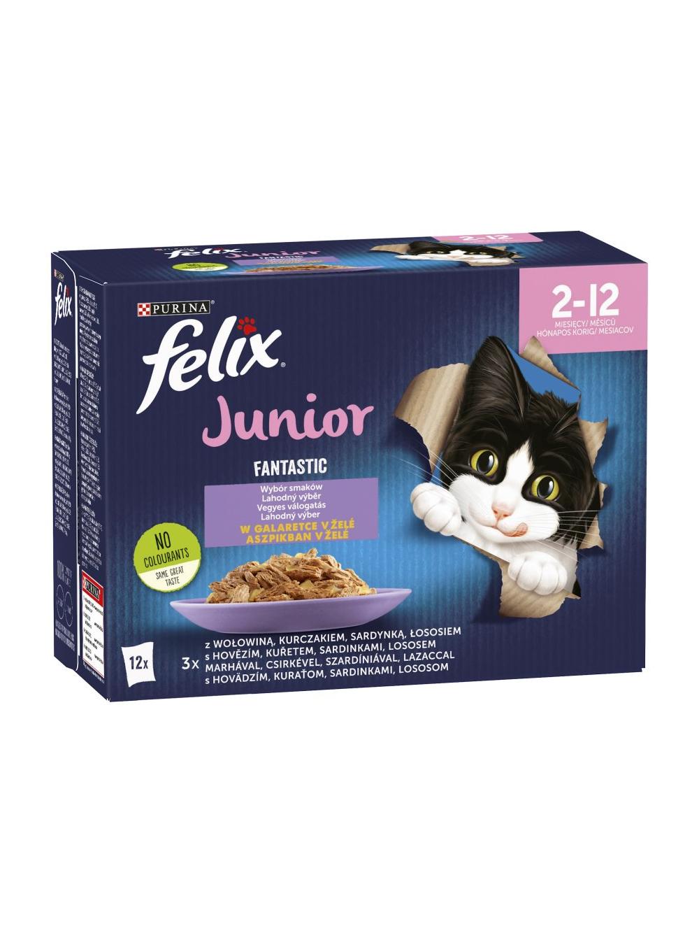 FELIX Fantastic Junior w galaretce 12x85g