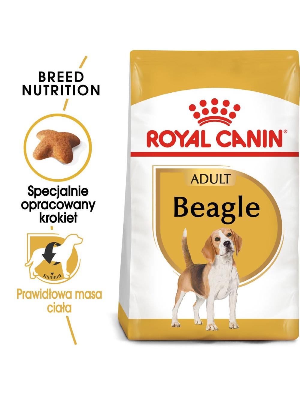 ROYAL CANIN Beagle Adult 12kg karma sucha dla psów dorosłych rasy beagle