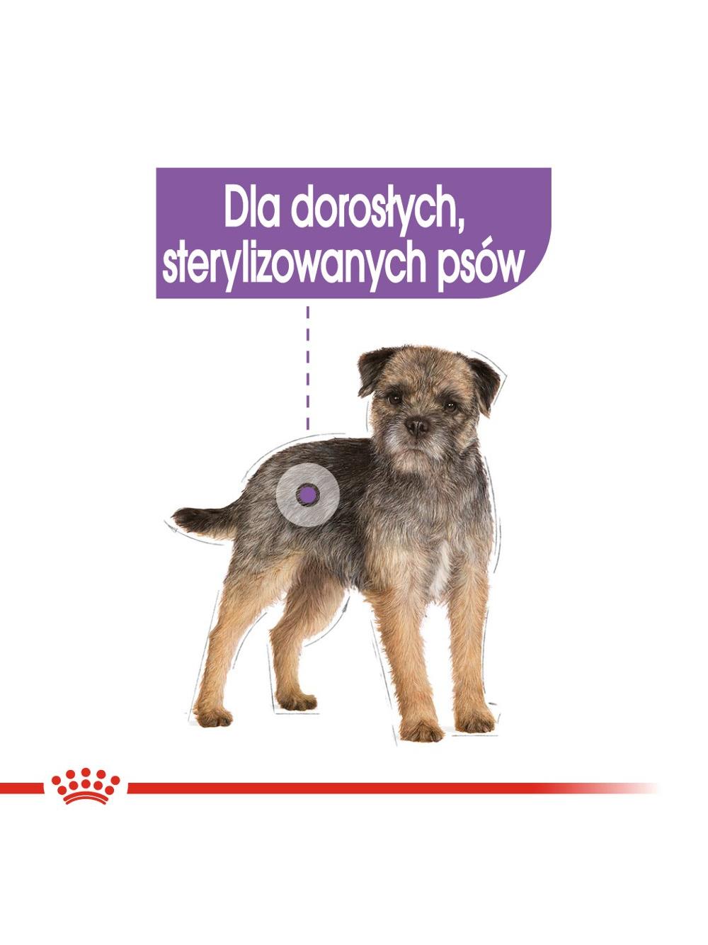 ROYAL CANIN CCN Sterilised 12x85g karma mokra - pasztet dla psów dorosłych, sterylizowanych