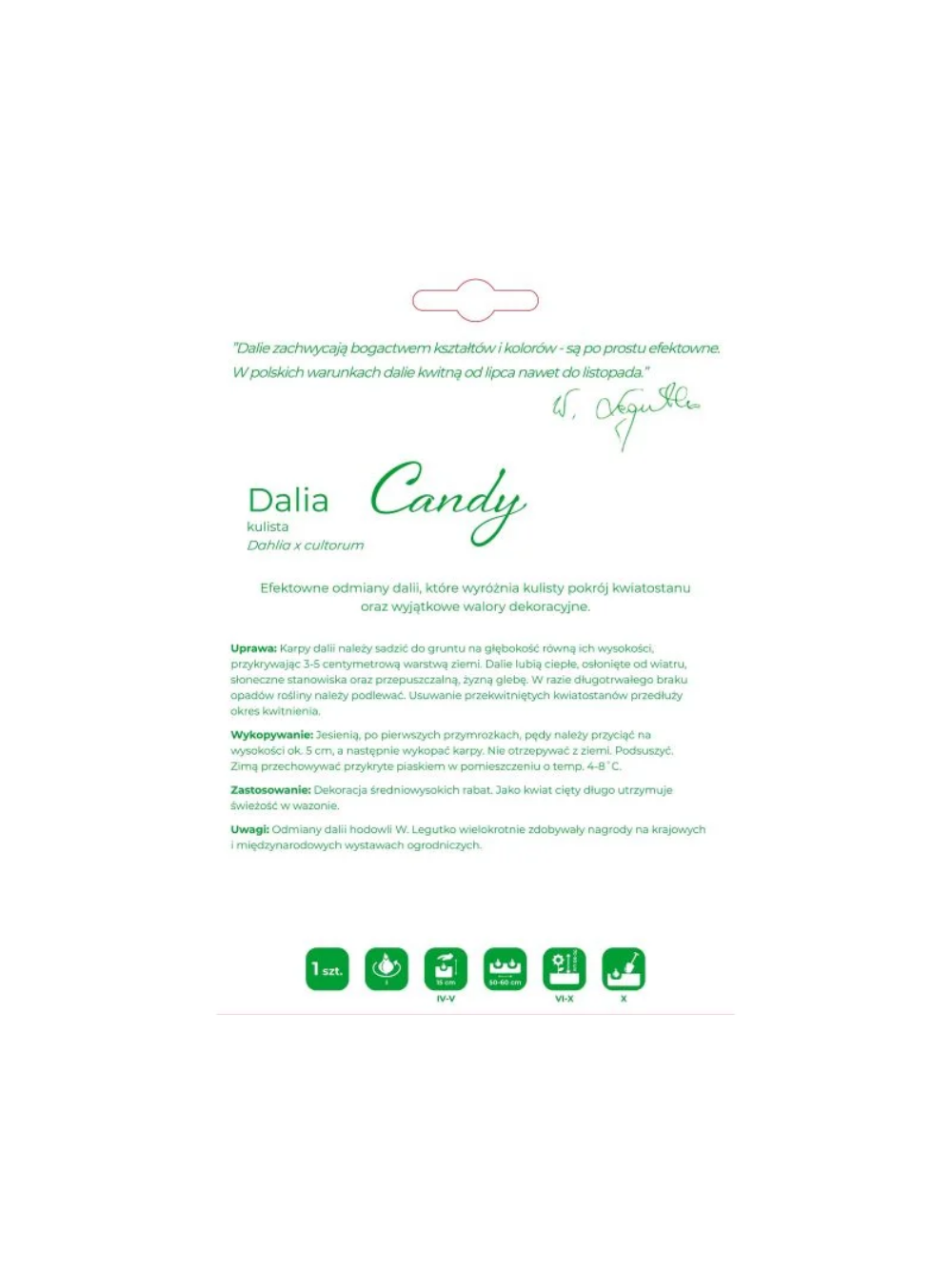 Dalia Candy łososiowa 1szt.