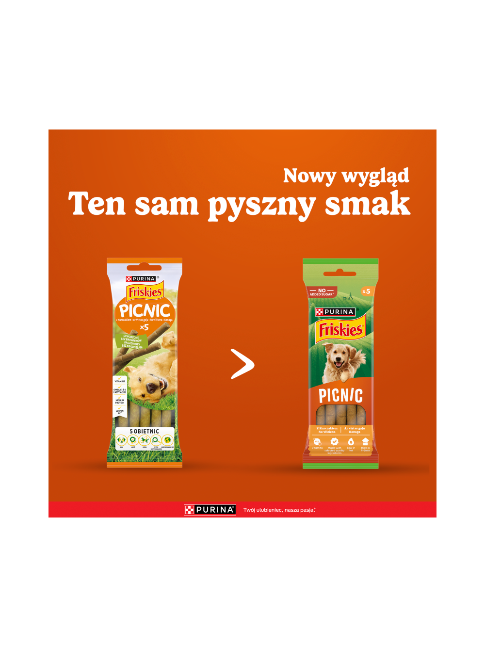Friskies Picnic dla dorosłych psów z kurczakiem 3x42g (5 sztuk)