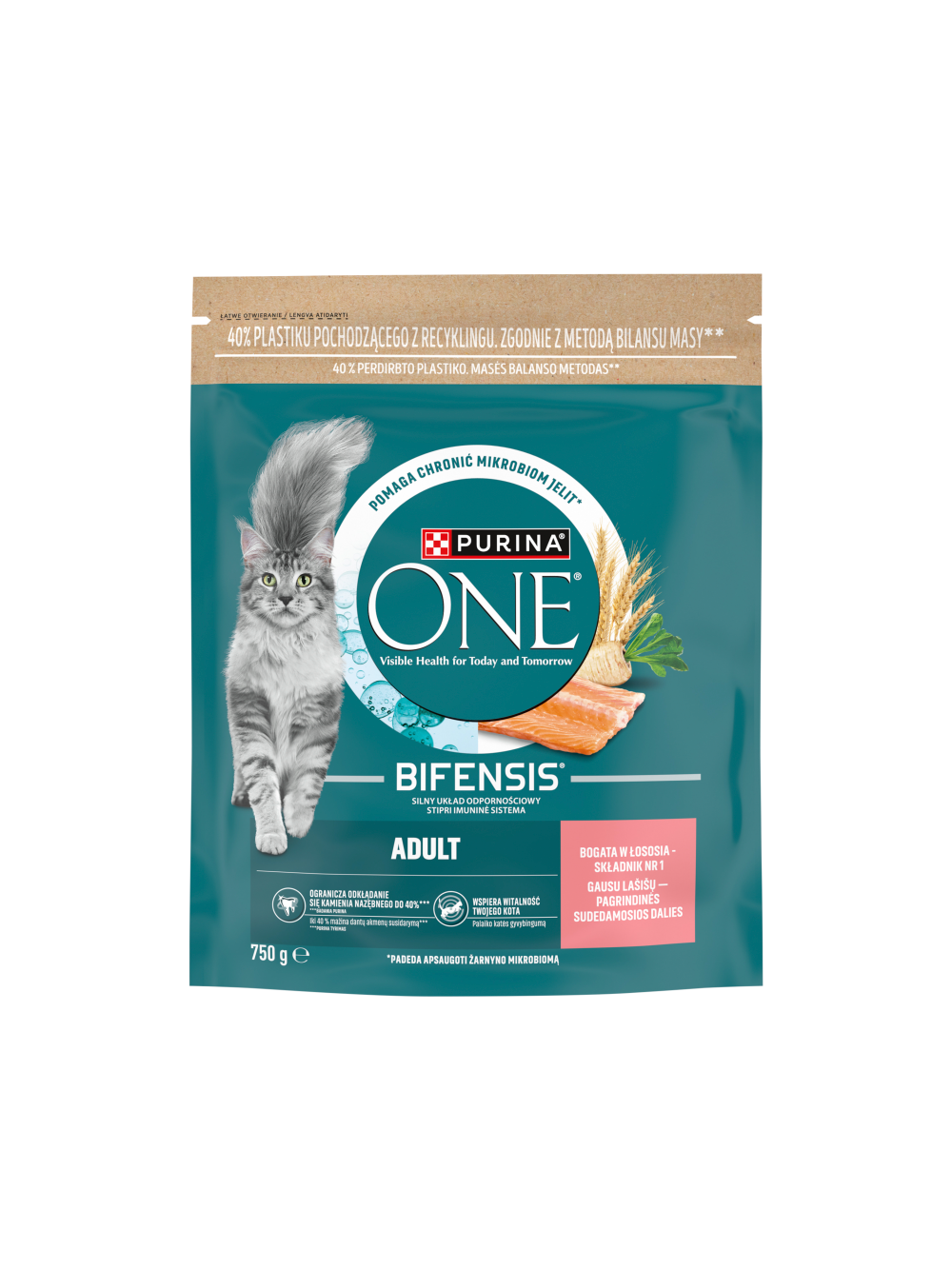 PURINA ONE Bifensis Adult Karma dla dorosłych kotów bogata w łososia 750 g