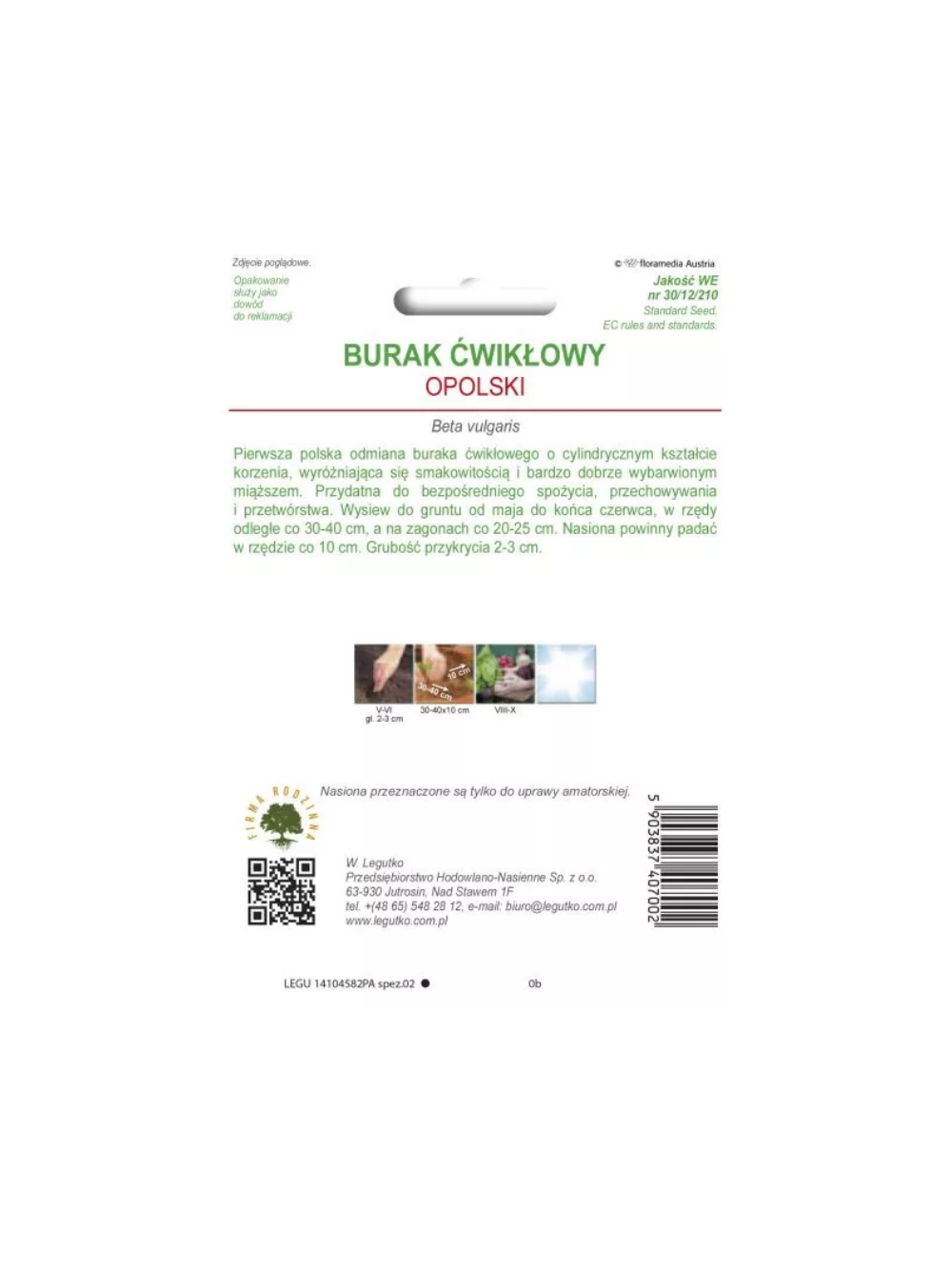 Burak ćwikłowy Opolski - cylindryczny