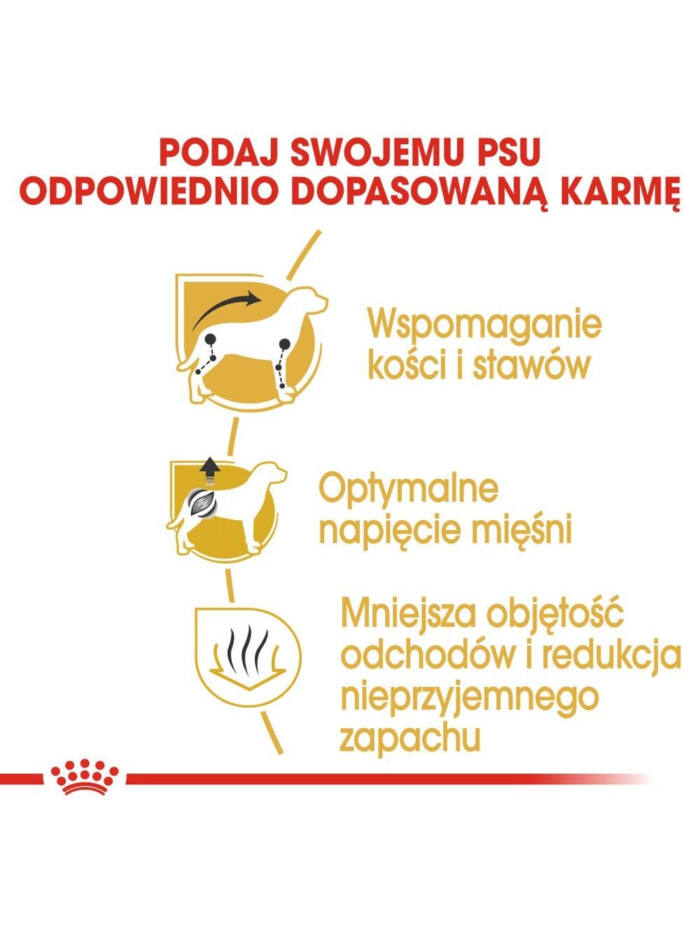 ROYAL CANIN Dachshund 7,5kg karma sucha dla psów dorosłych rasy jamnik + niespodzianka dla psa GRATIS!