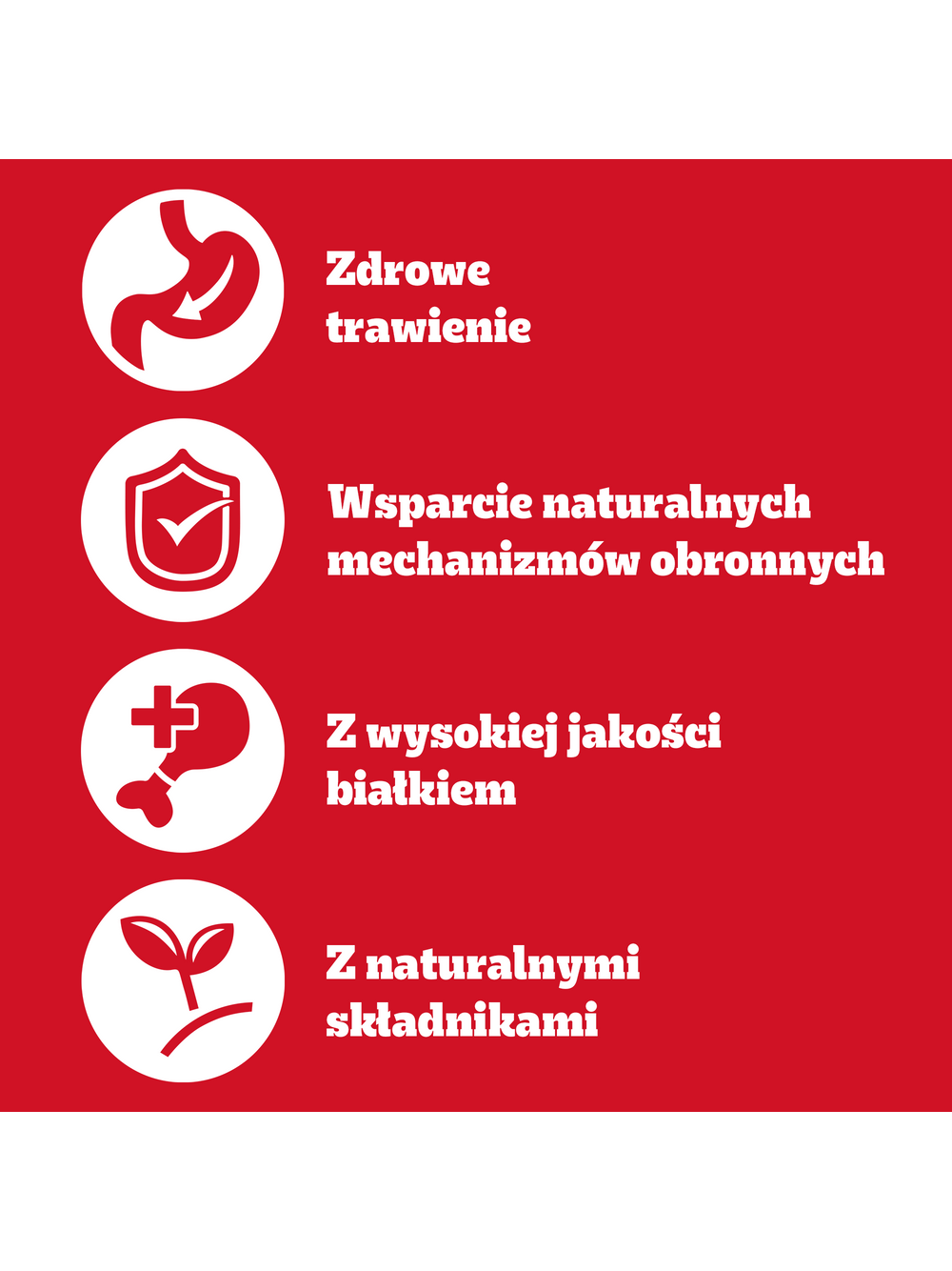 PEDIGREE Adult puszka 400g - mokra karma pełnoporcjowa dla dorosłych psów, z wołowiną w galaretce