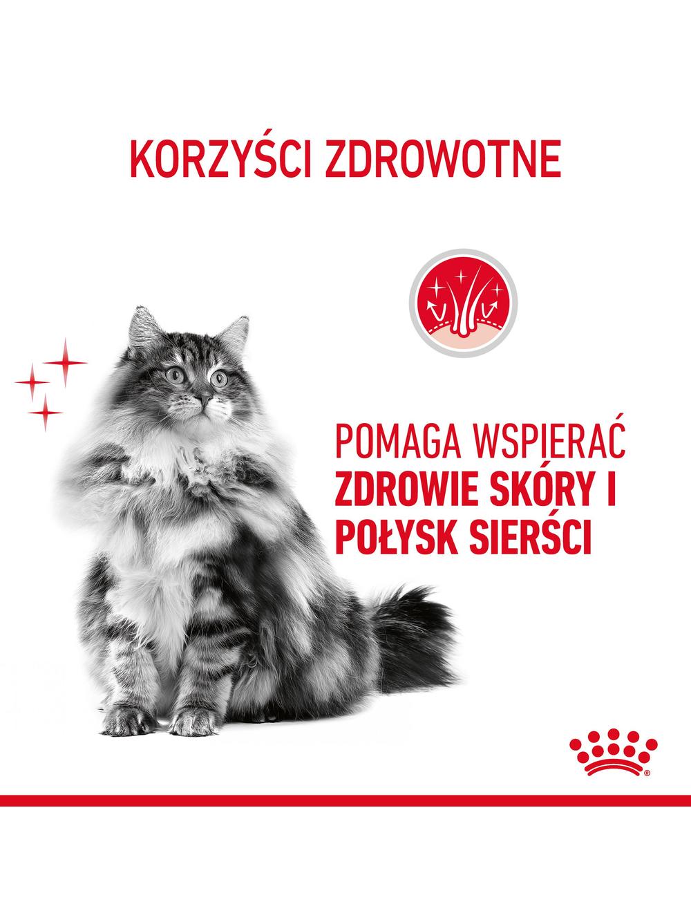 ROYAL CANIN Hair&Skin Care 10kg + niespodzianka dla kota GRATIS!