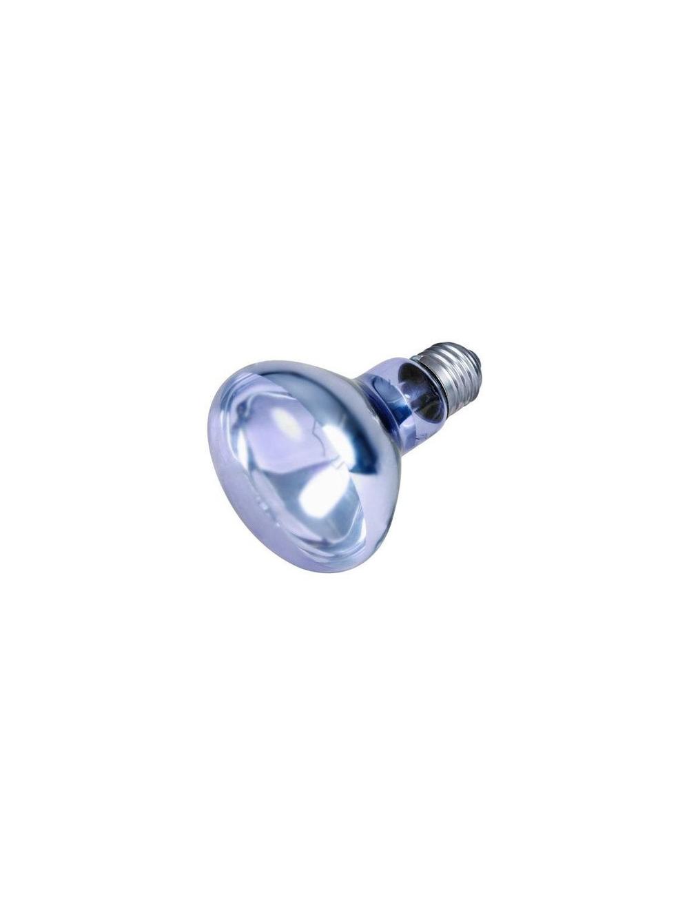 TRIXIE Punktowa lampa grzewcza neodymowa 75 W