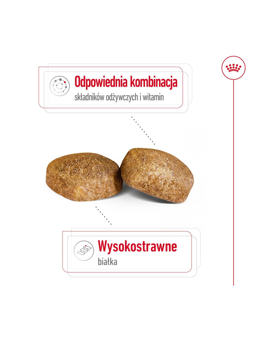 ROYAL CANIN Giant Adult 15kg karma sucha dla psów dorosłych, od 18/24 miesiąca życia, ras olbrzymich
