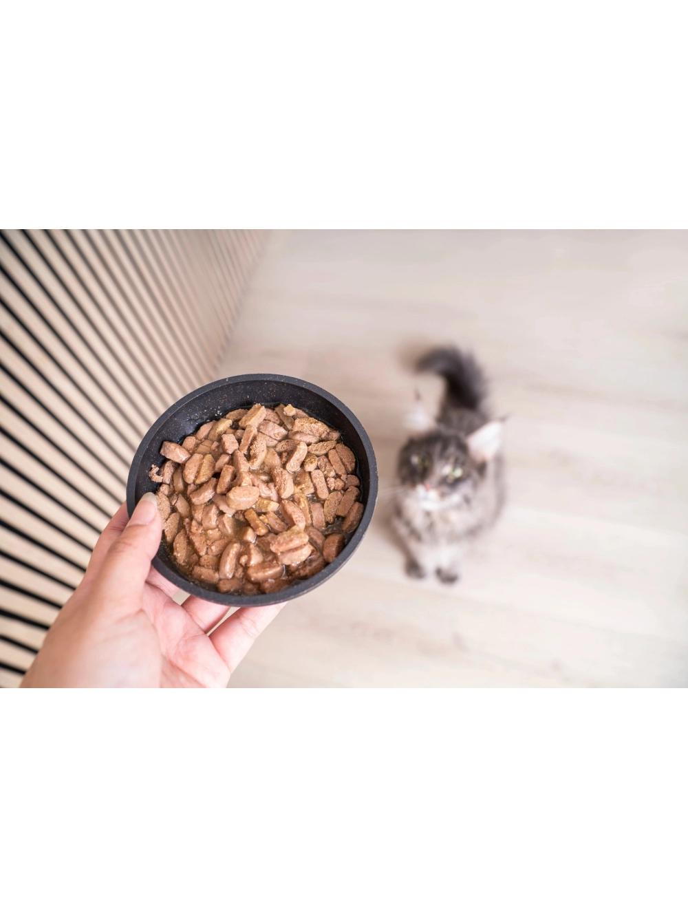 VIRBAC Cat Wet Kidney & Joint 12x85g Karma Mokra