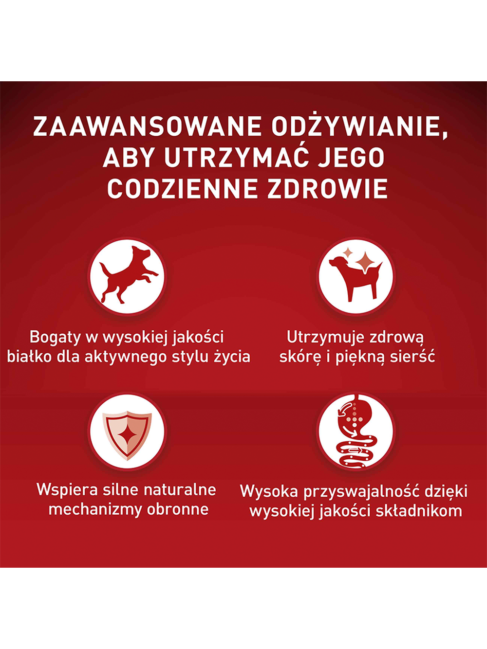 PURINA ONE Mini Active Kurczak, ryż - sucha karma dla psa - 800g /  / Opakowanie uszkodzone (8675) !!!