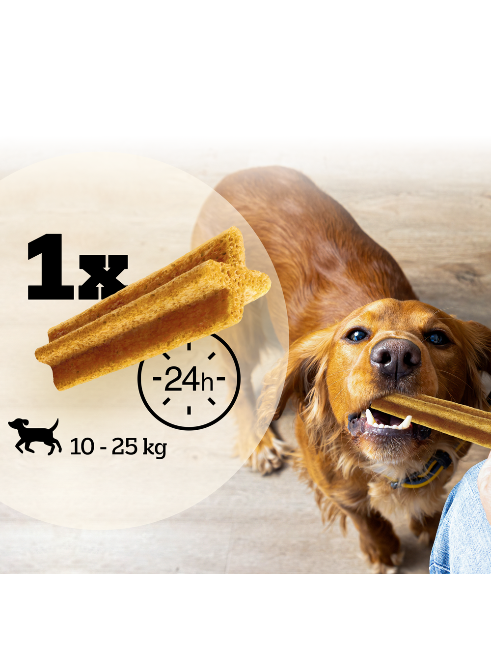 Pedigree Dentastix Light Dental Chews Średnie rasy Przysmaki dla psów 7szt. - 98g