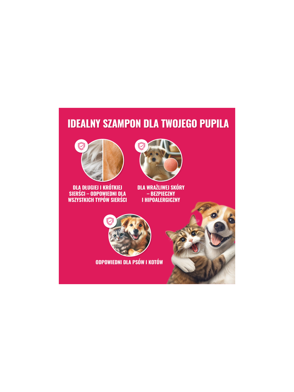 PETS “Lśniący Wąsik” – Pakiet Dla Właścicieli Kotów
