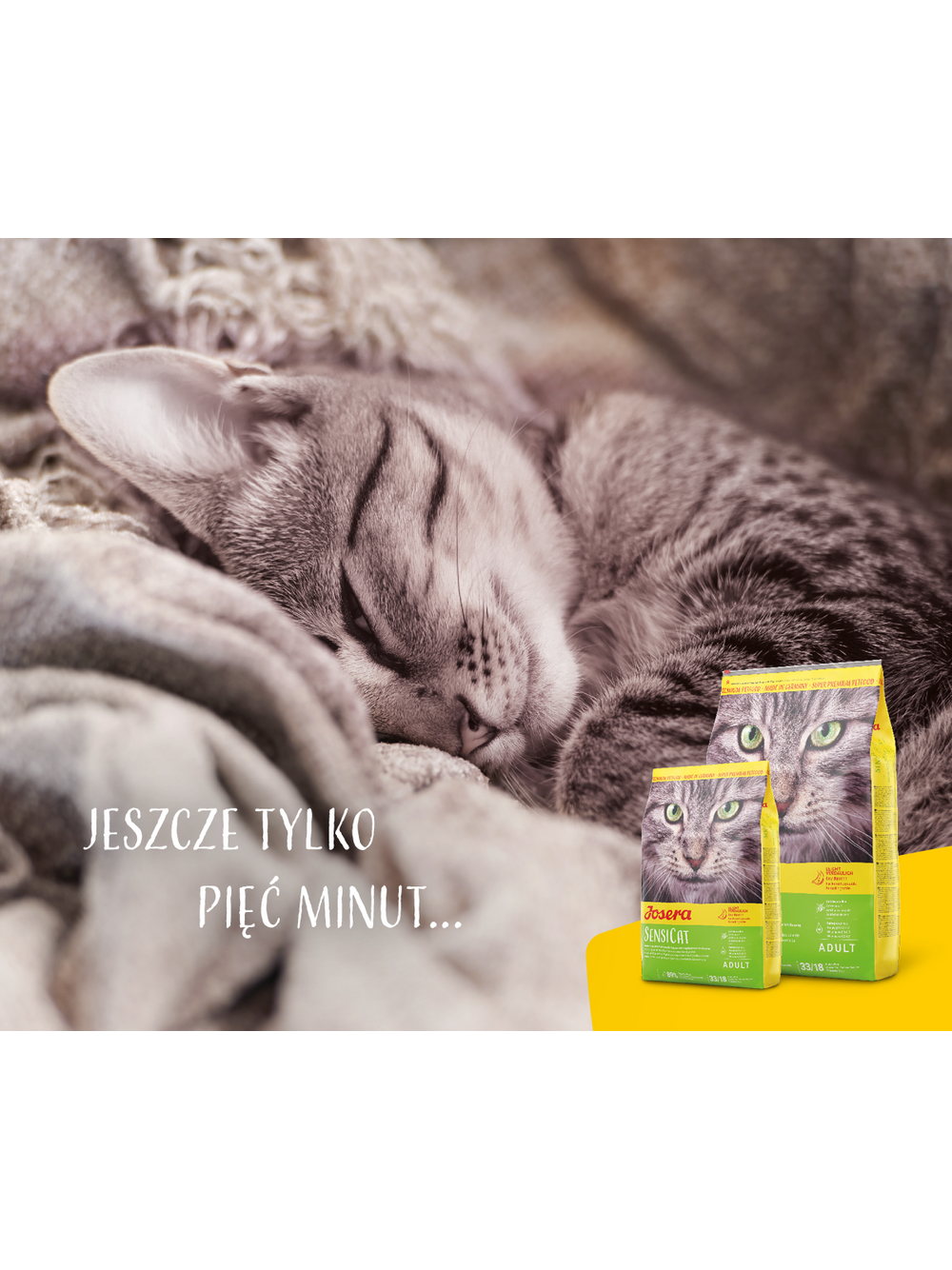 JOSERA SensiCat 10kg/ opakowanie uszkodzone (8717)!!