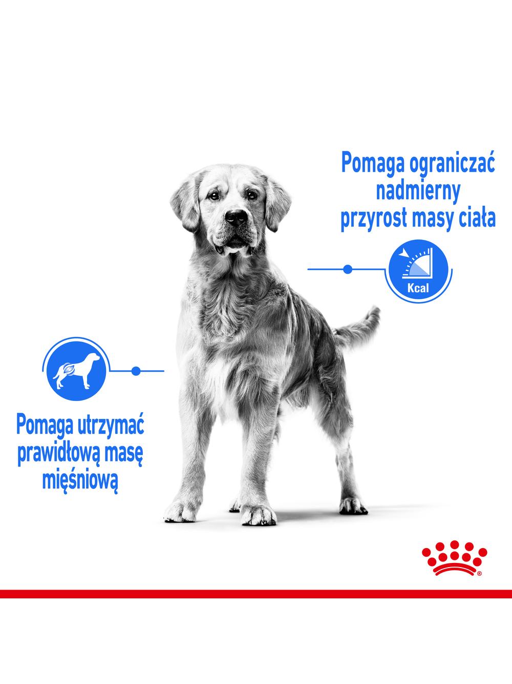 ROYAL CANIN CCN Maxi Light Weight Care 12kg karma sucha dla psów dorosłych, ras dużych z tendencją do nadwagi / Opakowanie uszkodzone (7701) !!!