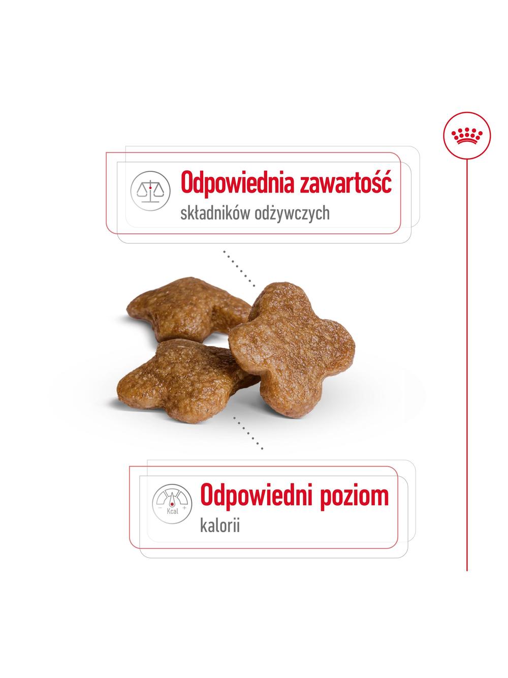 ROYAL CANIN Mini Adult +8  8kg karma sucha dla psów starszych od 8 do 12 roku życia, ras małych