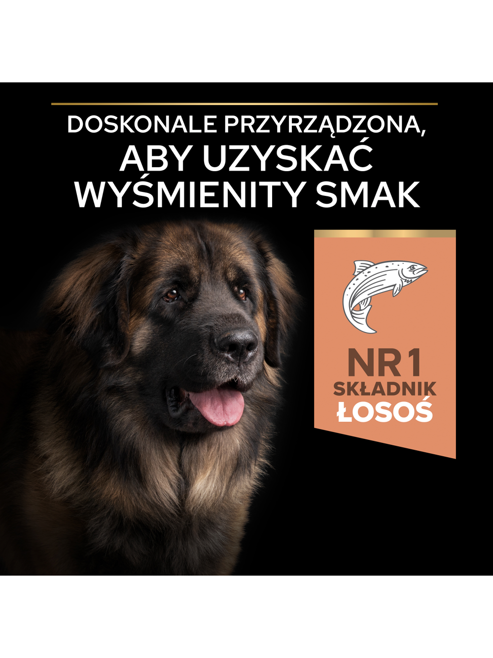 PRO PLAN Sensitive Skin Large Robust Adult Karma dla psów bogata w łososia 14kg+ niespodzianka dla psa GRATIS!