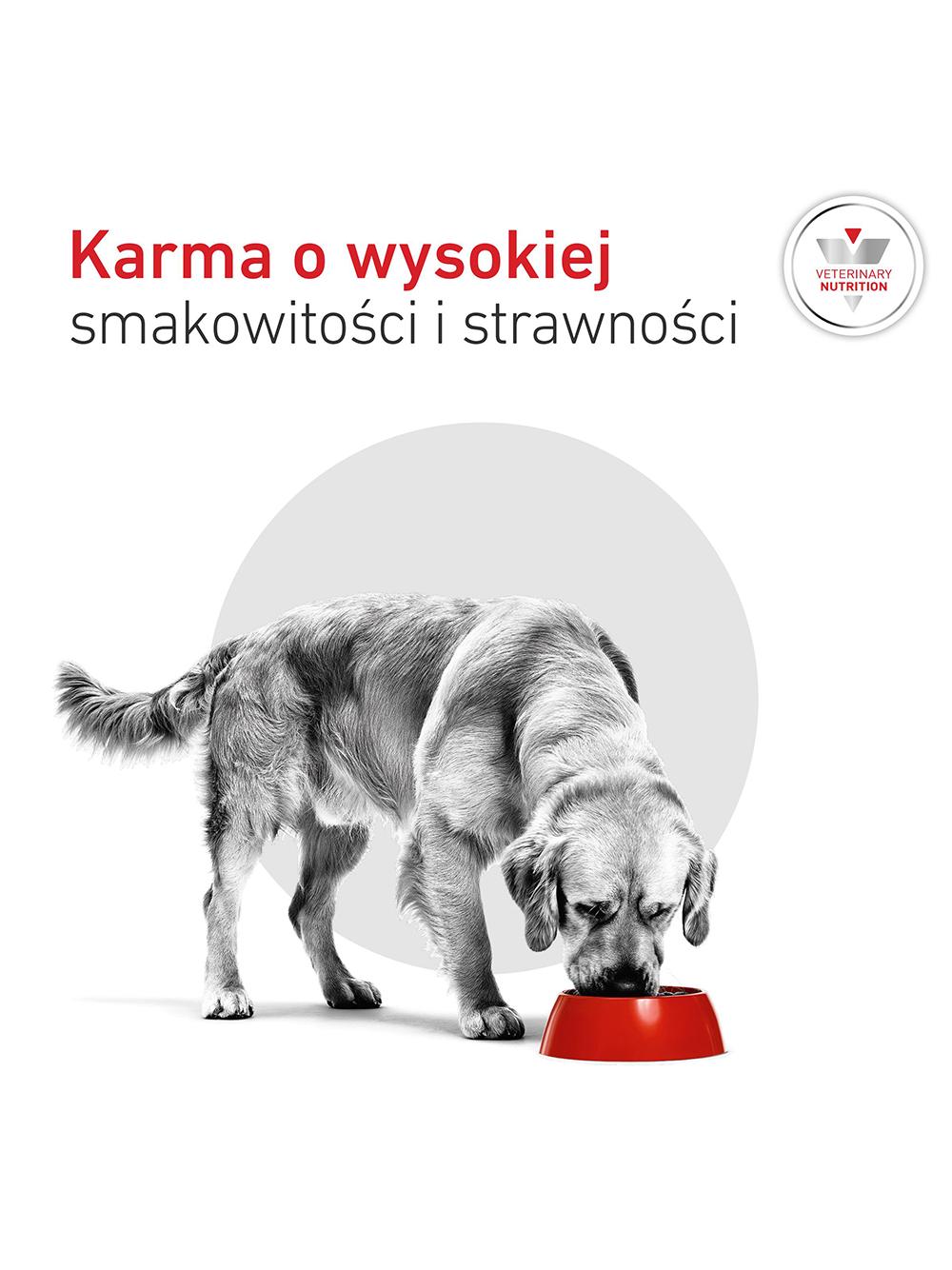 ROYAL CANIN Glycobalance Low Carbohydrate 410g puszka