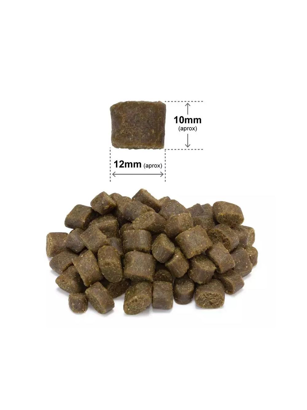 ARQUIVET FRESH - Półwilgotna karma dla psa ryba oceaniczna 10 kg + GULASZ WIEPRZOWY GRATIS !
