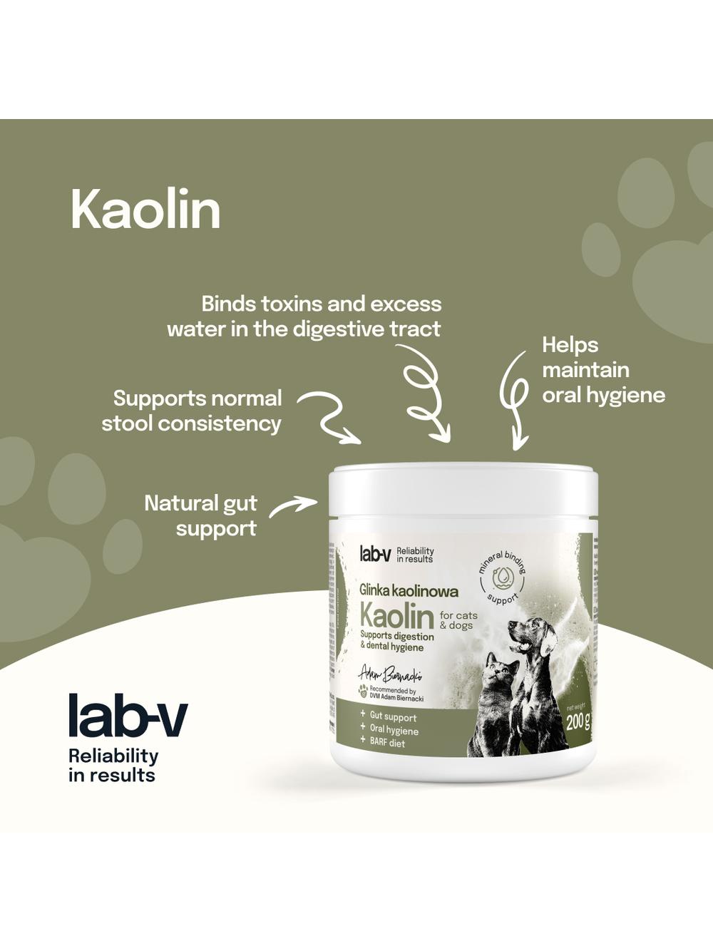 Lab-v Kaolin – wsparcie jelit i higieny jamy ustnej dla psów i kotów 200g