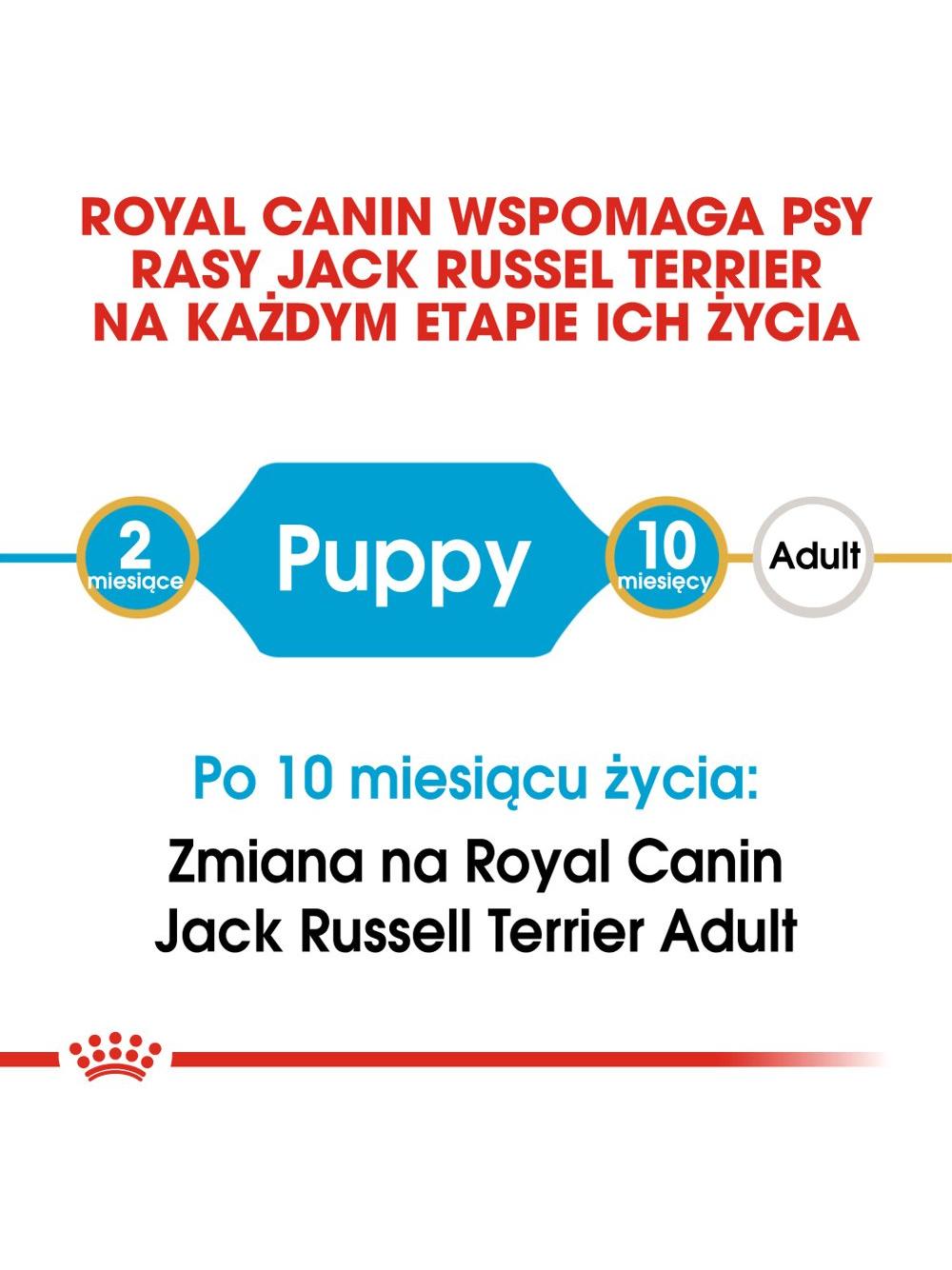ROYAL CANIN Jack Russell Terrier Puppy 3kg karma sucha dla szczeniąt do 10 miesiąca, rasy jack russel terrier