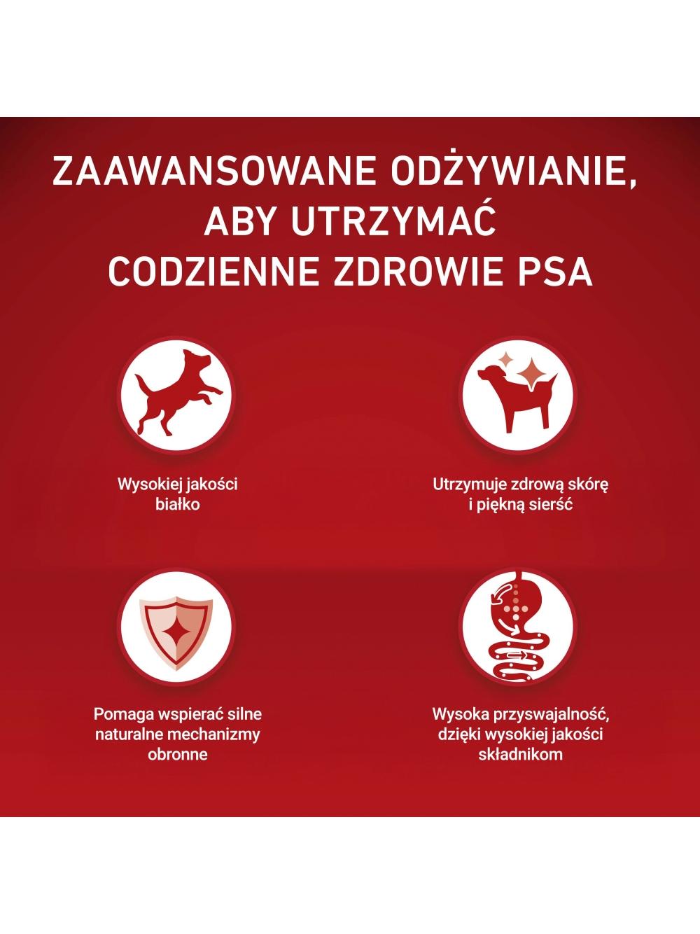 Purina One Sensitive Mini/Small Karma dla psów z łososiem i ryżem 6x1,5 kg