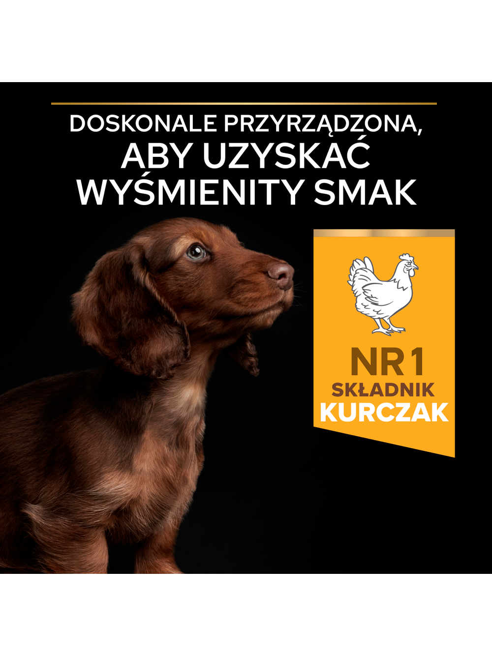 PRO PLAN Healthy Start Small & Mini Puppy Karma dla szczeniąt bogata w kurczaka 7kg / Opakowanie uszkodzone (2566,8962) !!!
